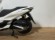HONDA PCX 125 DX