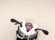 APRILIA RS 125 (MIVV HOMOLOGADO)