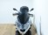 PIAGGIO MP3 300 HPE