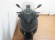 YAMAHA XMAX 400