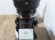 PIAGGIO LIBERTY 125 (IVA DEDUCIBLE)