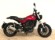 BENELLI LEONCINO 500