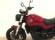 BENELLI LEONCINO 500