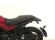 BENELLI LEONCINO 500