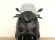 YAMAHA XMAX 300 TECH MAX