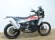 FANTIC XEF 450 RALLY (ARROW DE SERIE)
