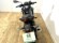 KAWASAKI Z 125