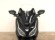HONDA FORZA 125