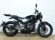 RIEJU CENTURY 125