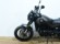 BENELLI LEONCINO 500