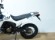 VOGE 300 RALLY