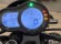 BENELLI LEONCINO 500