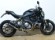 DUCATI MONSTER 821 (A) (SE ENTREGA ESCAPE ORIGINAL)