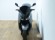 YAMAHA XMAX 400 (TOP CASE) (AKRAPOVIC HOMOLOGADO)