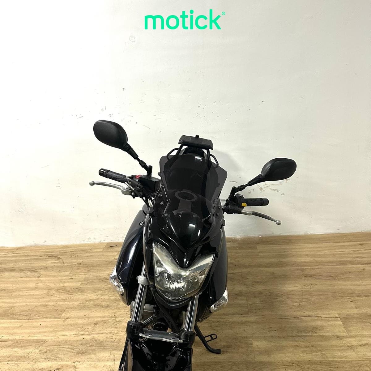 SUZUKI GW 250 INAZUMA