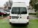 VOLKSWAGEN TRANSPORTER Furgon PRO Corto TM 2.0 TDI BMT