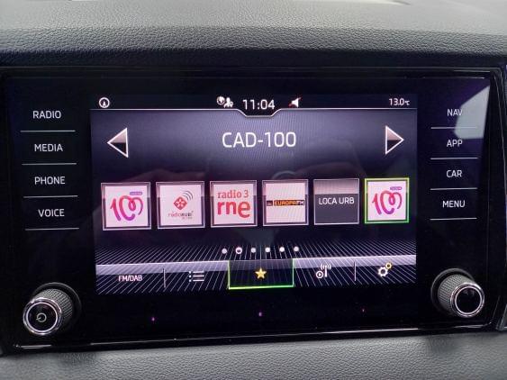 SKODA KAROQ de segunda mano