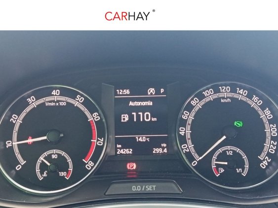 SKODA FABIA de segunda mano