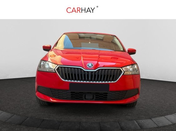 SKODA FABIA de segunda mano