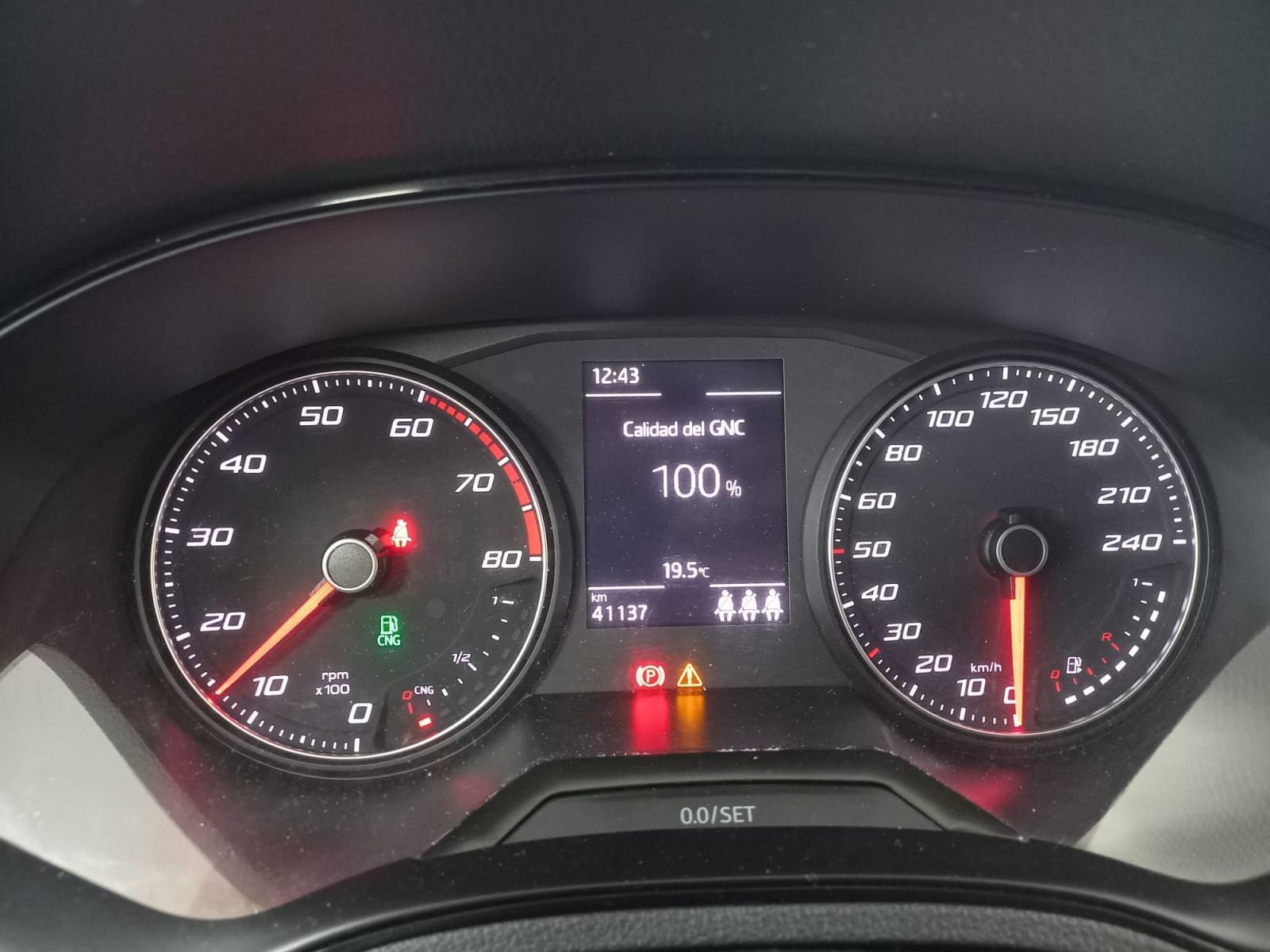 SEAT IBIZA 1.0 TGI 66kW (90CV) 2 PLAZAS PROFESIONAL 10 