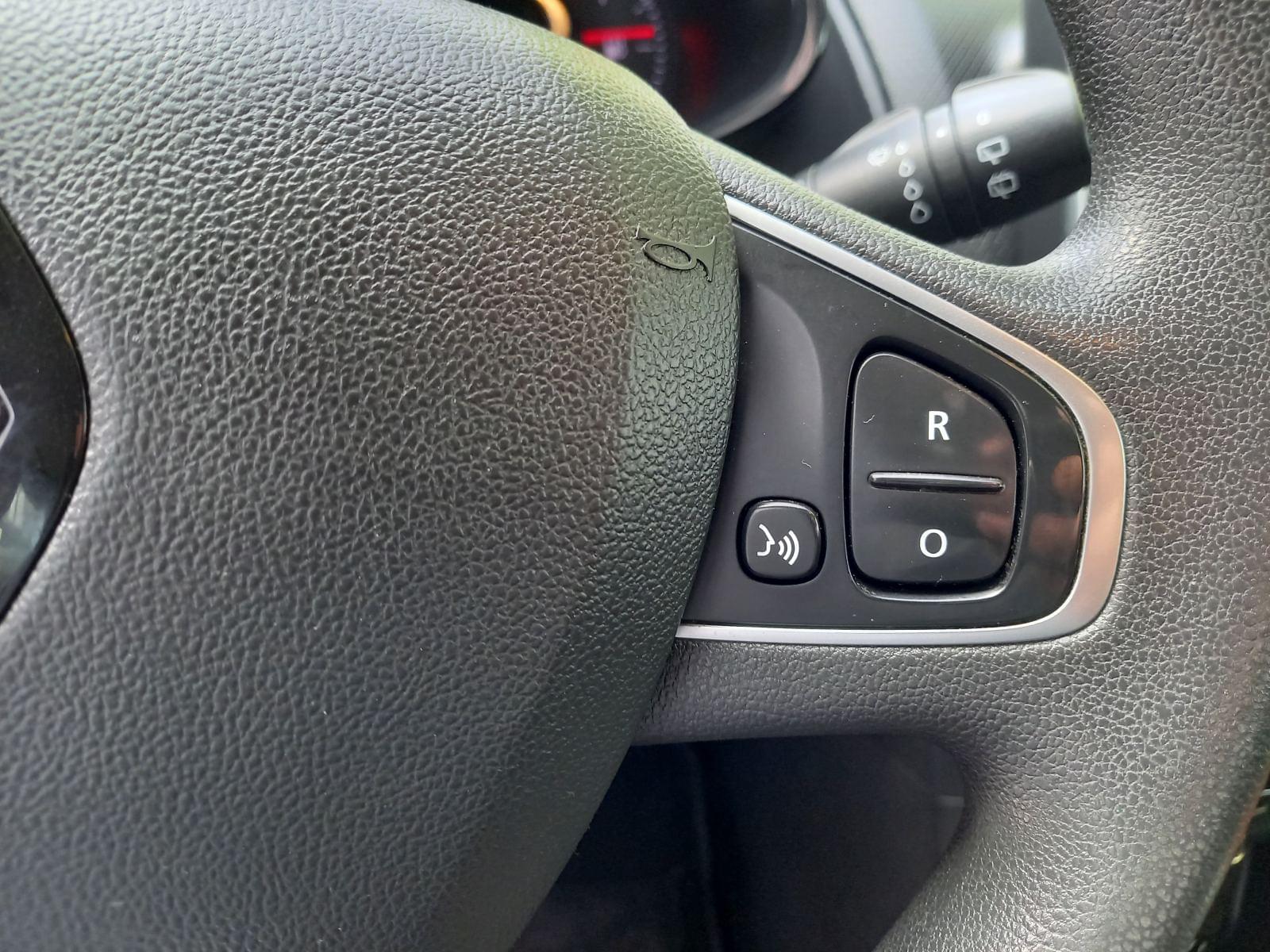 RENAULT CLIO Business Energy TCe 66kW (90CV) GLP 13 