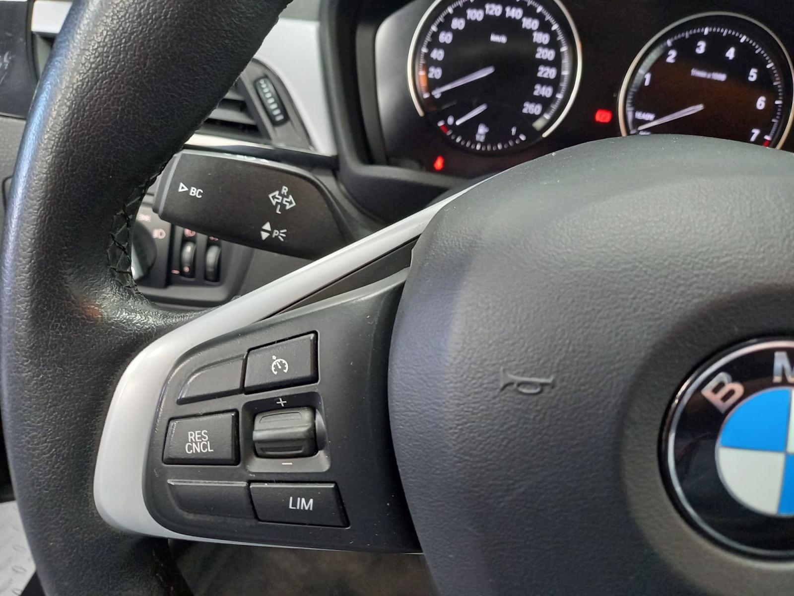 BMW X1 XDRIVE 25E 29 