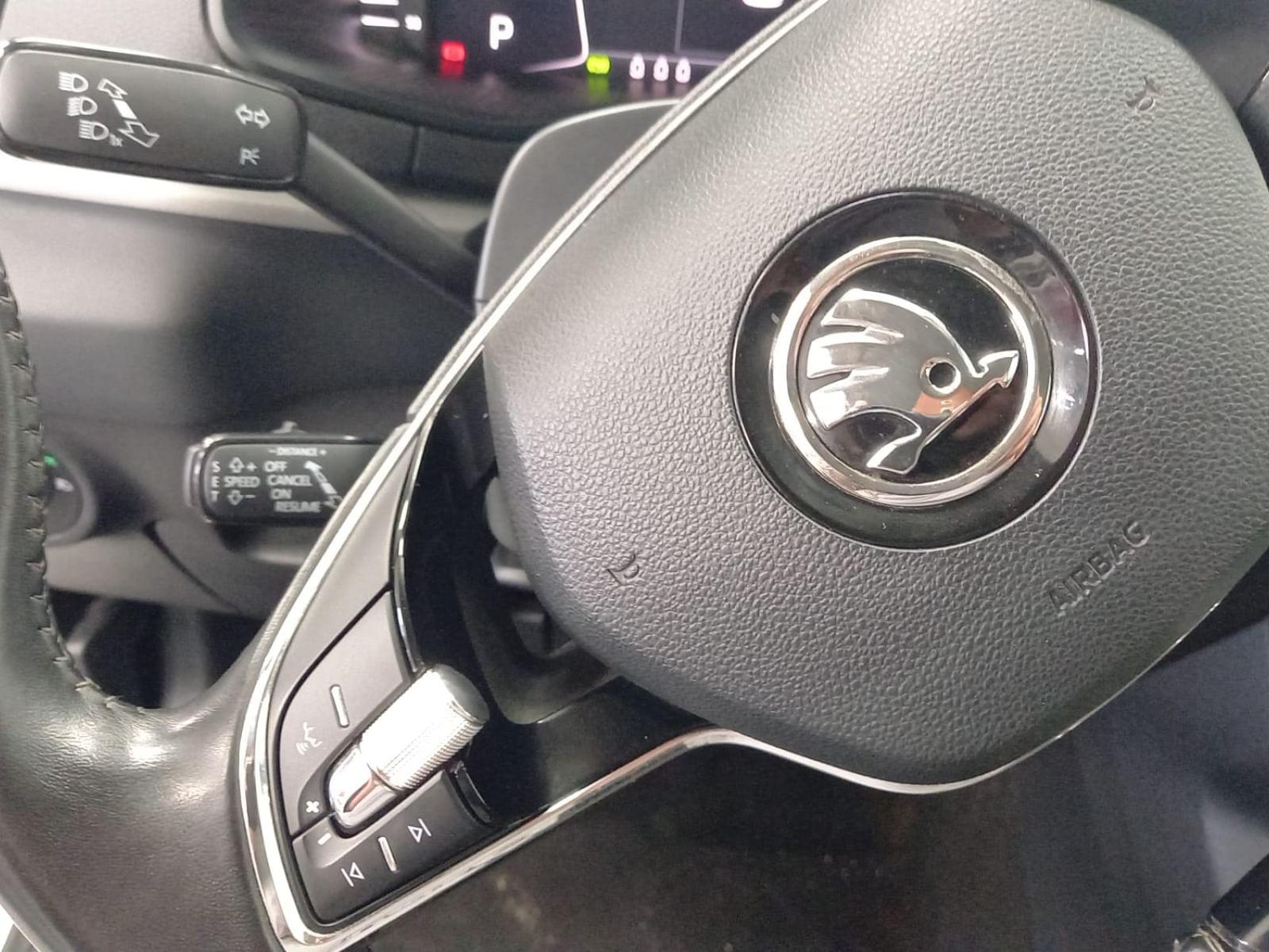 SKODA KAROQ 2.0 TDI 110kW (150CV) DSG 4X4 Ambition 12 