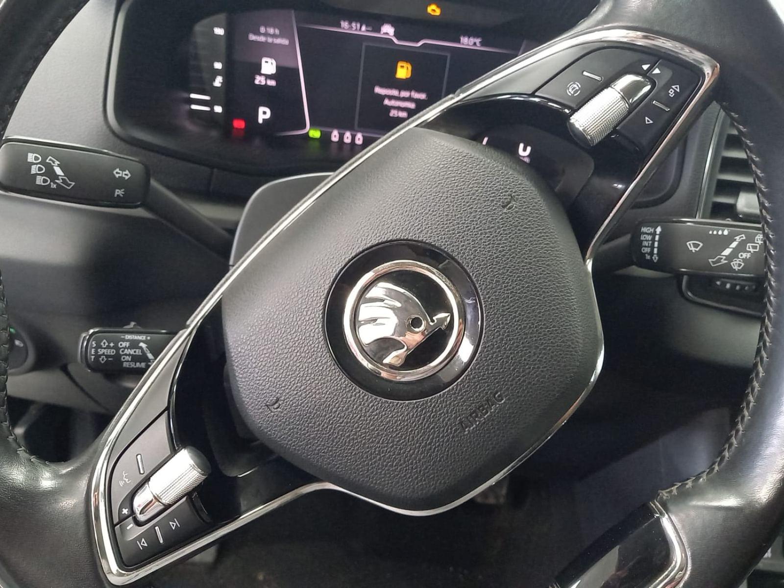 SKODA KAROQ 2.0 TDI 110kW (150CV) DSG 4X4 Ambition 14 