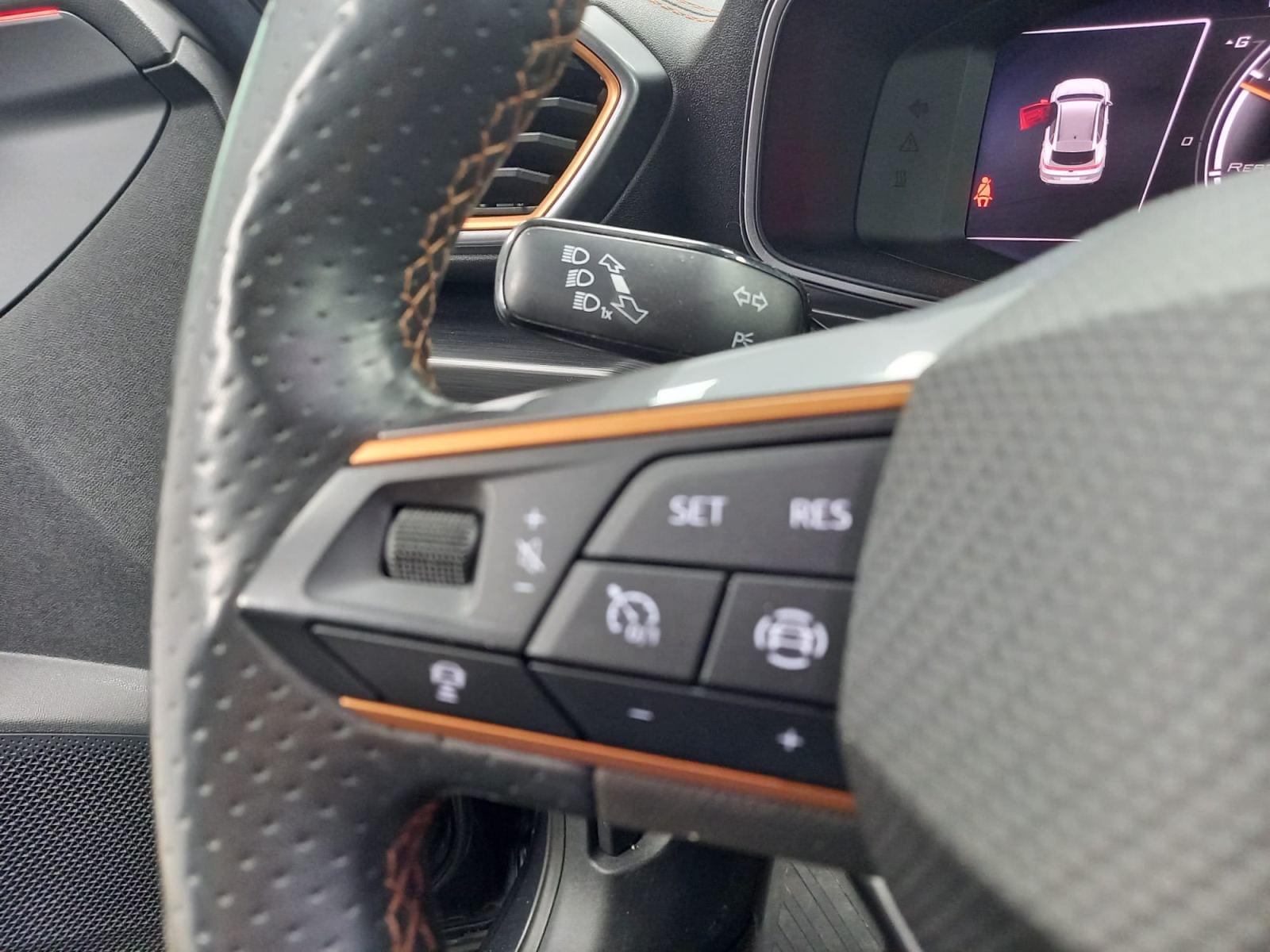 CUPRA FORMENTOR 2.0 TDI 110kW (150 CV) 17 