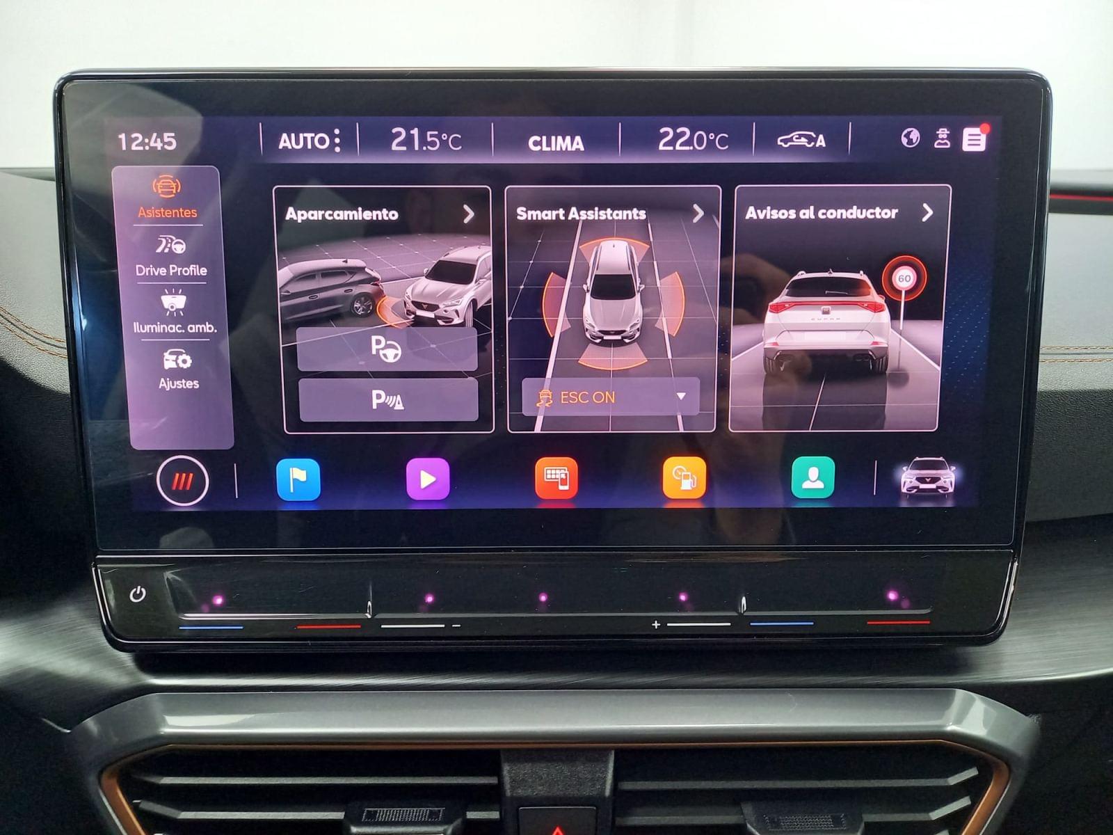 CUPRA FORMENTOR 2.0 TDI 110kW (150 CV) 19 