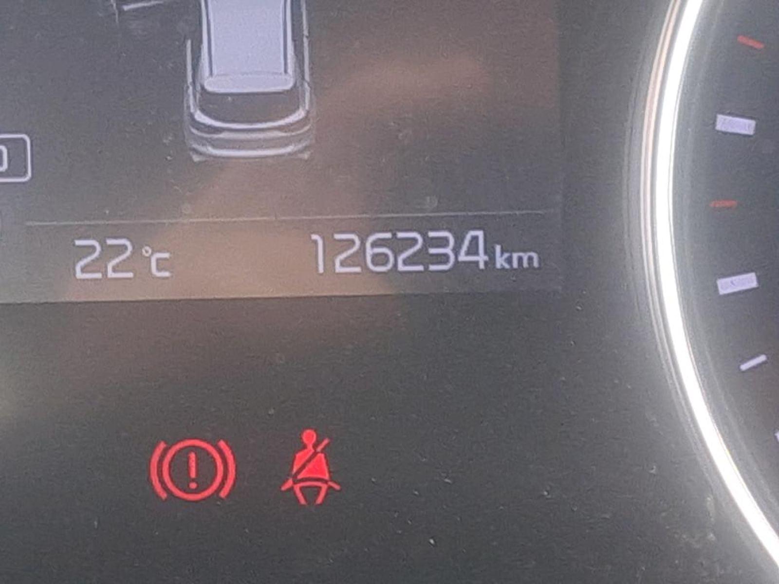 KIA CEED 1.0 MHEV 88kW (120CV) Drive DCT 6 