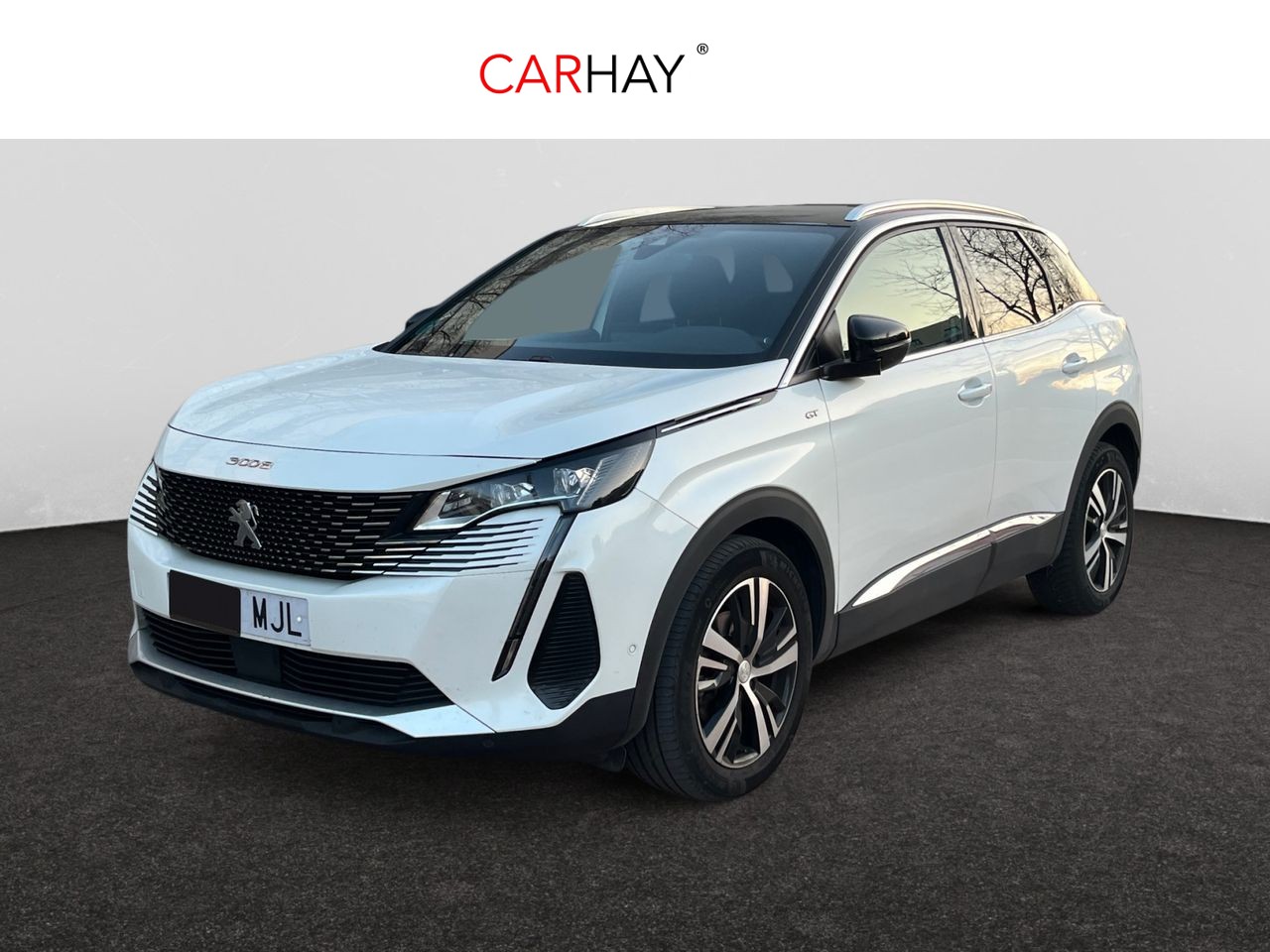 PEUGEOT 3008 1.5 BlueHDi 96kW S&S GT EAT8 1 