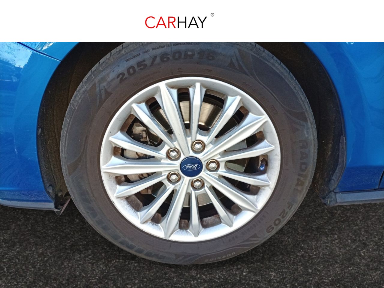 FORD FOCUS 1.5 Ecoblue 88kW Trend+ SB 15