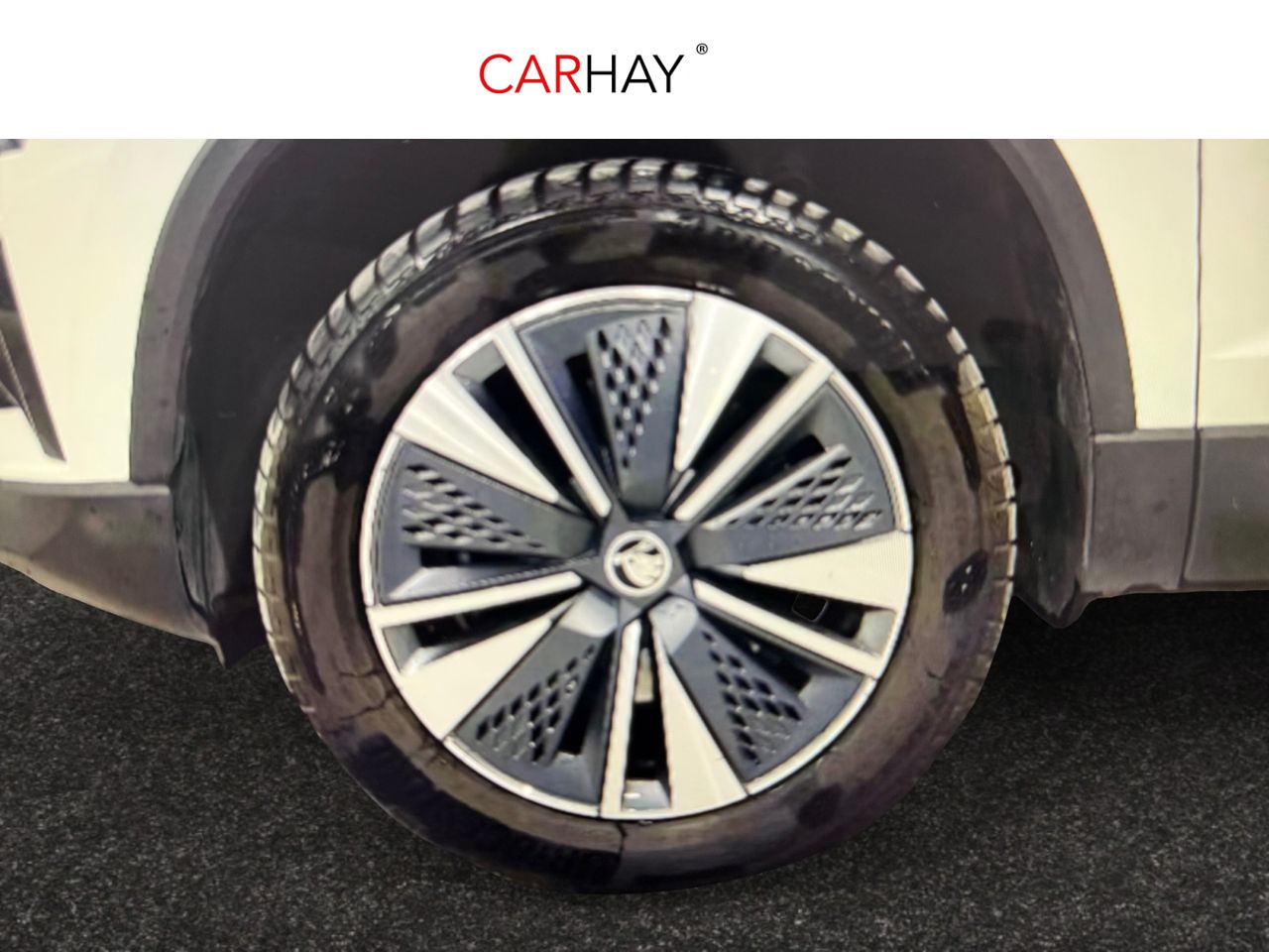 SKODA KAROQ 2.0 TDI 110kW (150CV) 4X4 Ambition 13 