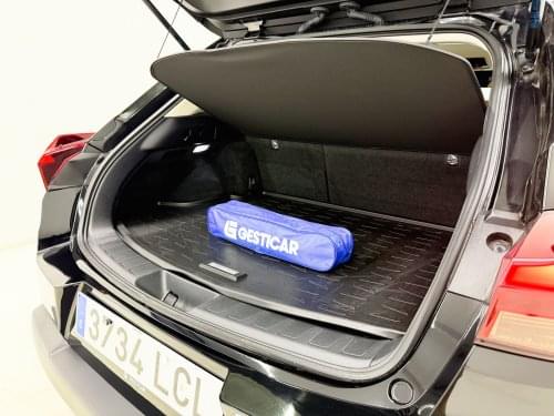 LEXUS UX 250H 184 CV 2019 de segunda mano