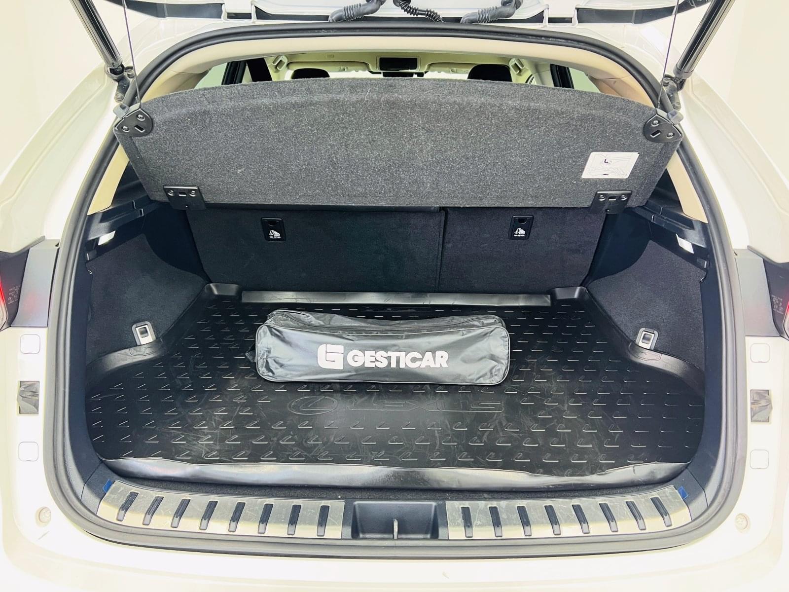 LEXUS NX 2.5 300H PREMIUM 2WD 13 
