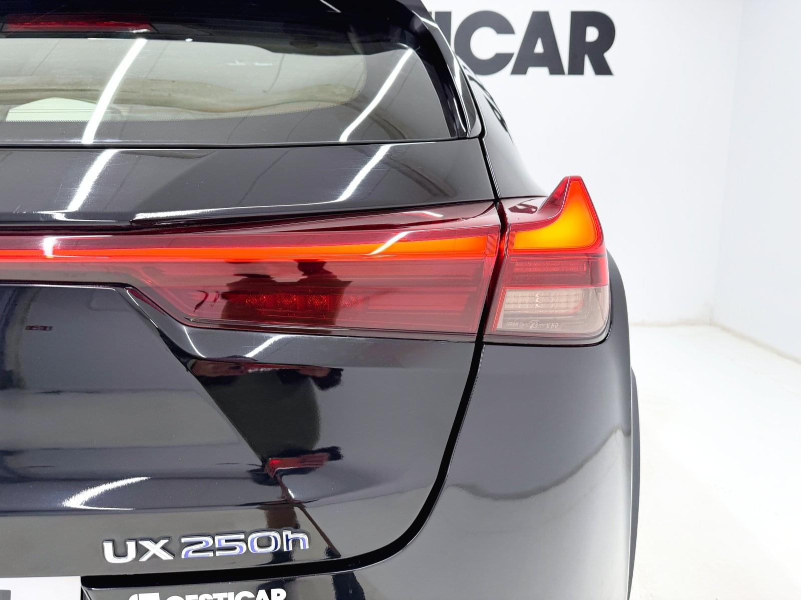 LEXUS UX 250H 184 CV 17