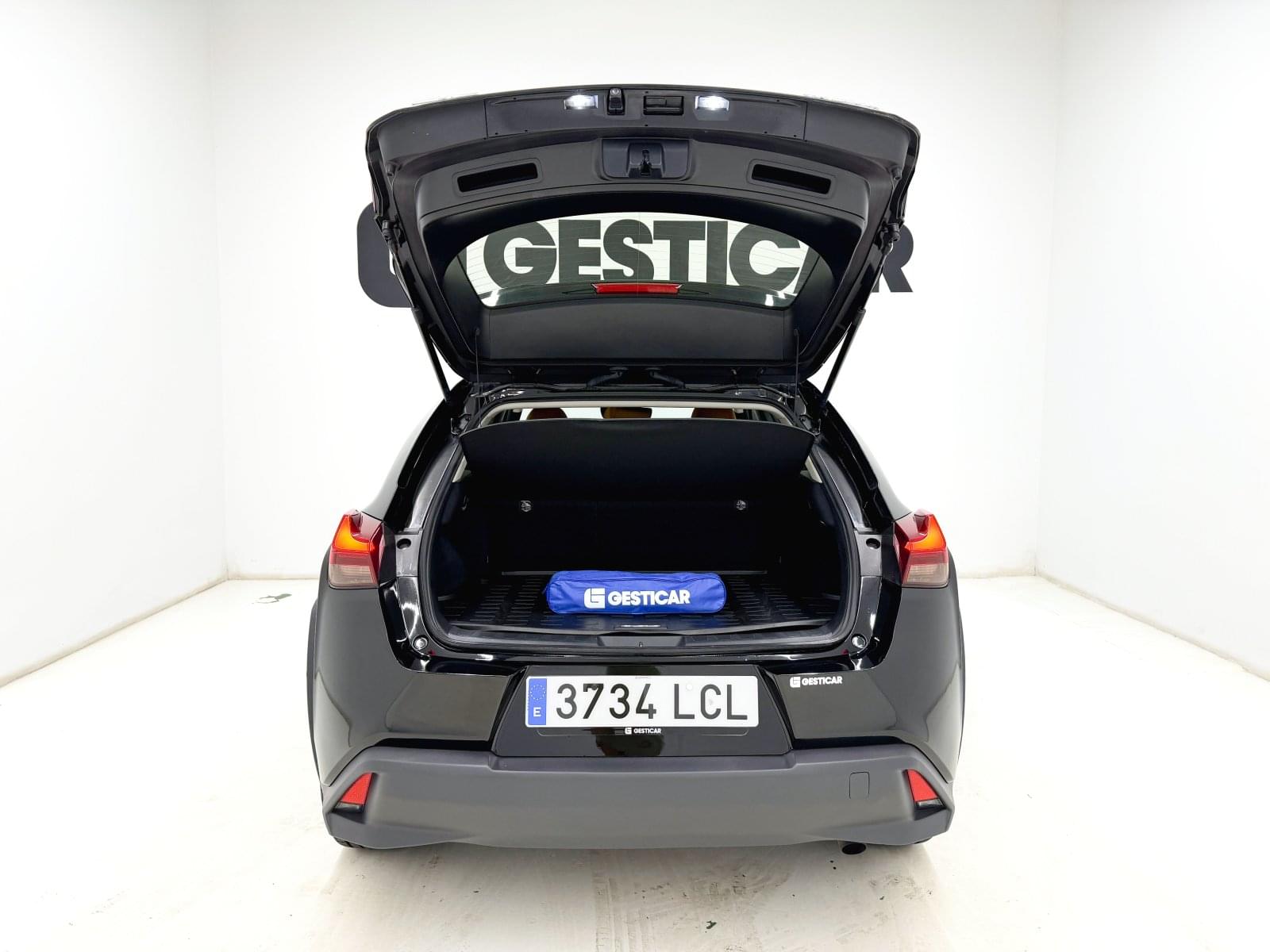 LEXUS UX 250H 184 CV 13