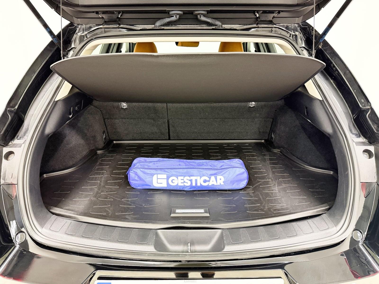 LEXUS UX 250H 184 CV 14