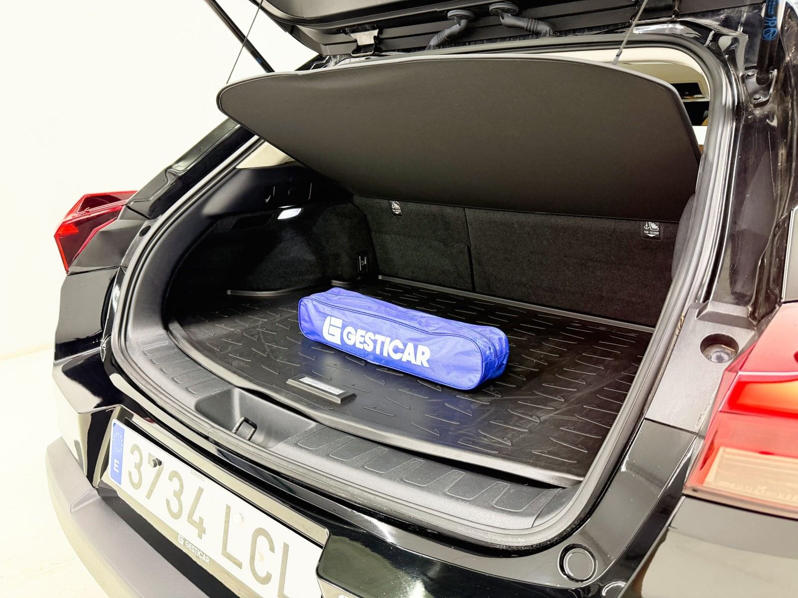 LEXUS UX 250H 184 CV 15