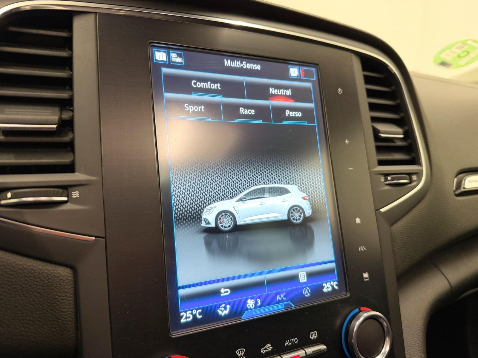 RENAULT MéGANE RS 280CV 37