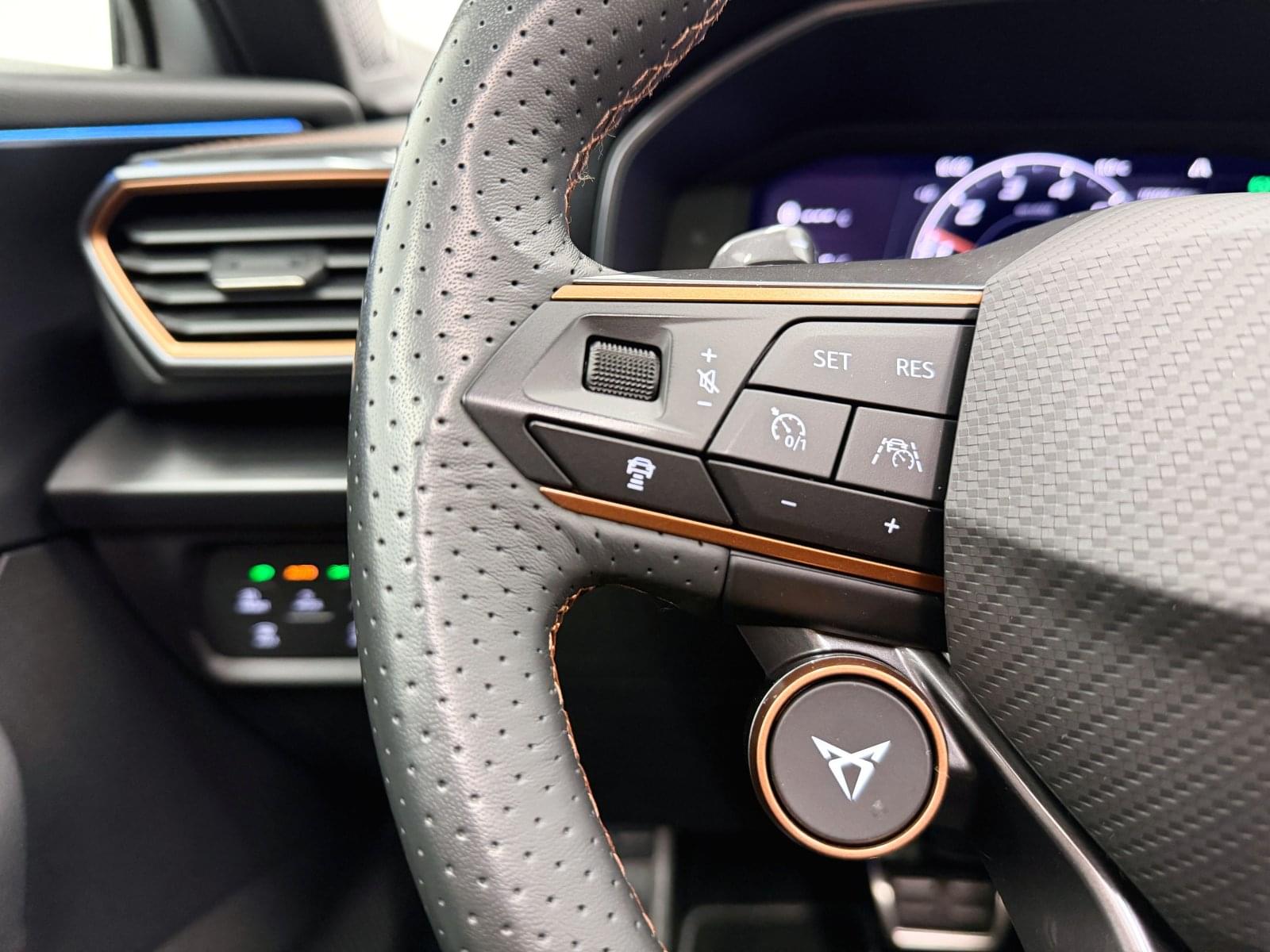 CUPRA FORMENTOR 2.0 TSI 310 CV VZ DSG 4DRIVE 33 