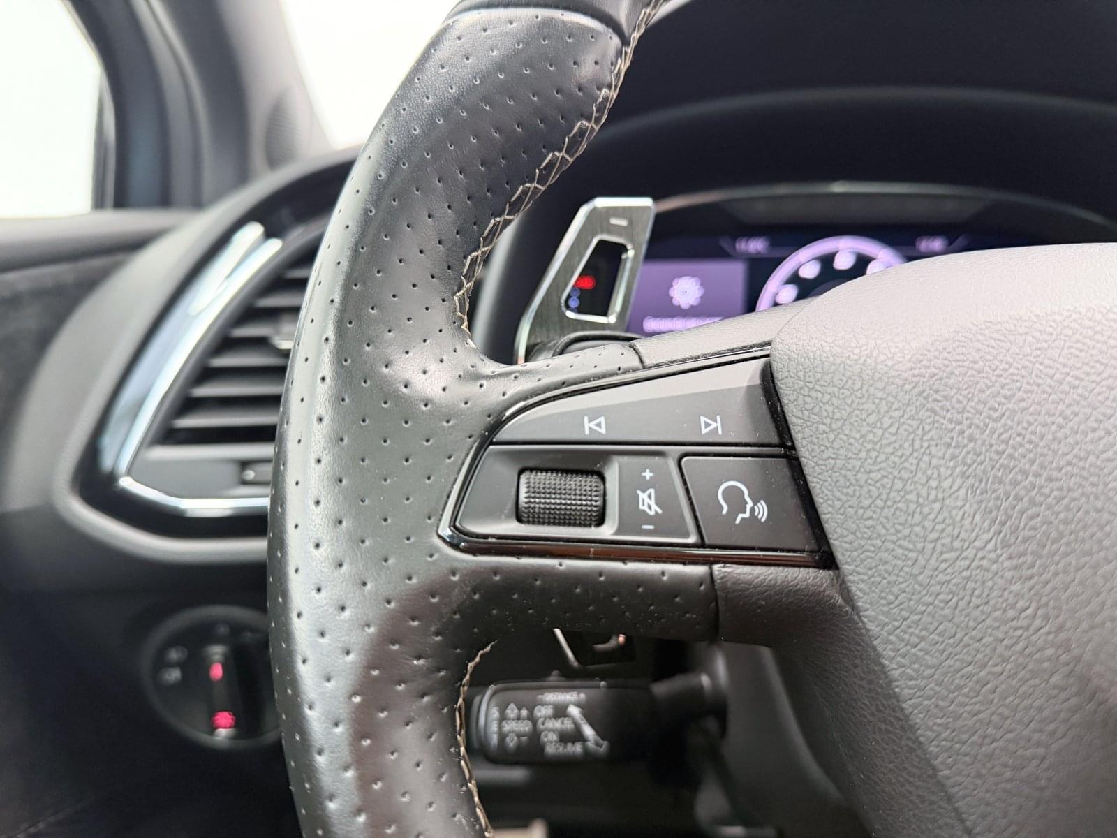 SEAT LEÓN CUPRA 290CV DSG 30 