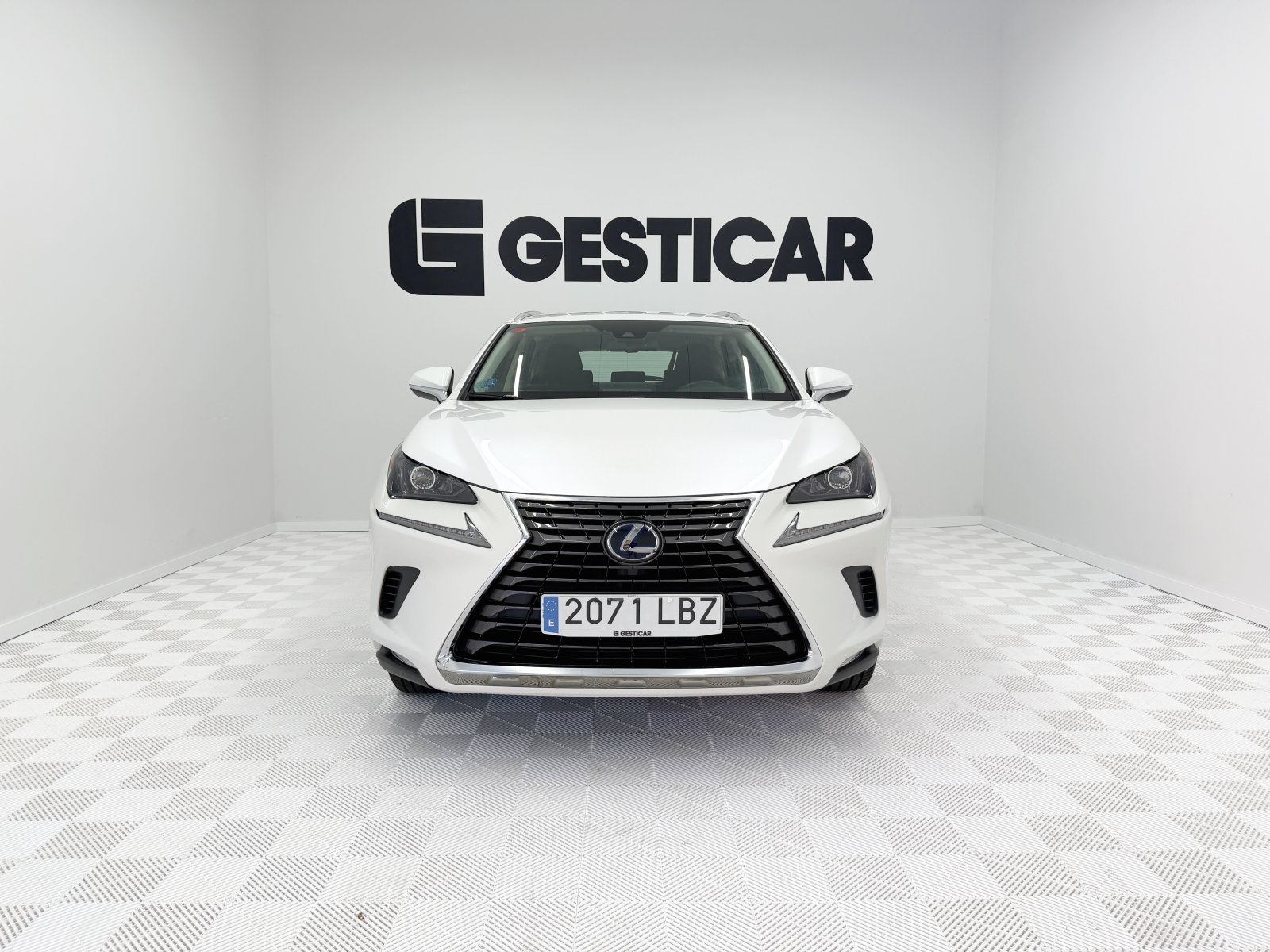LEXUS NX 300h Business Navigation 2WD 145 kW (197 CV) 6 