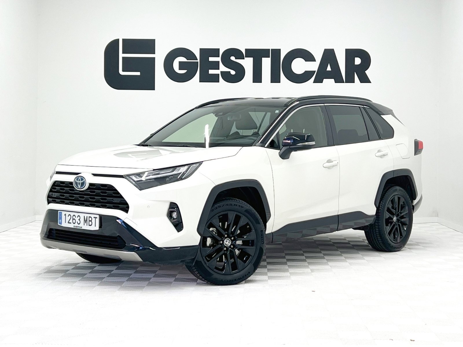 TOYOTA RAV4 2.5l hybrid Style 160 kW (218 CV) 1 